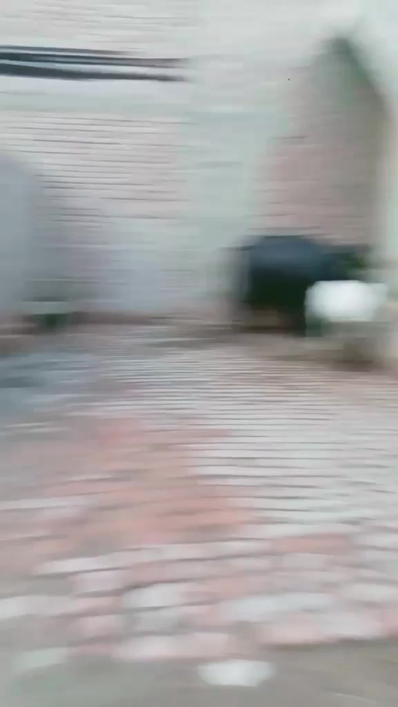 @amanat Kasai