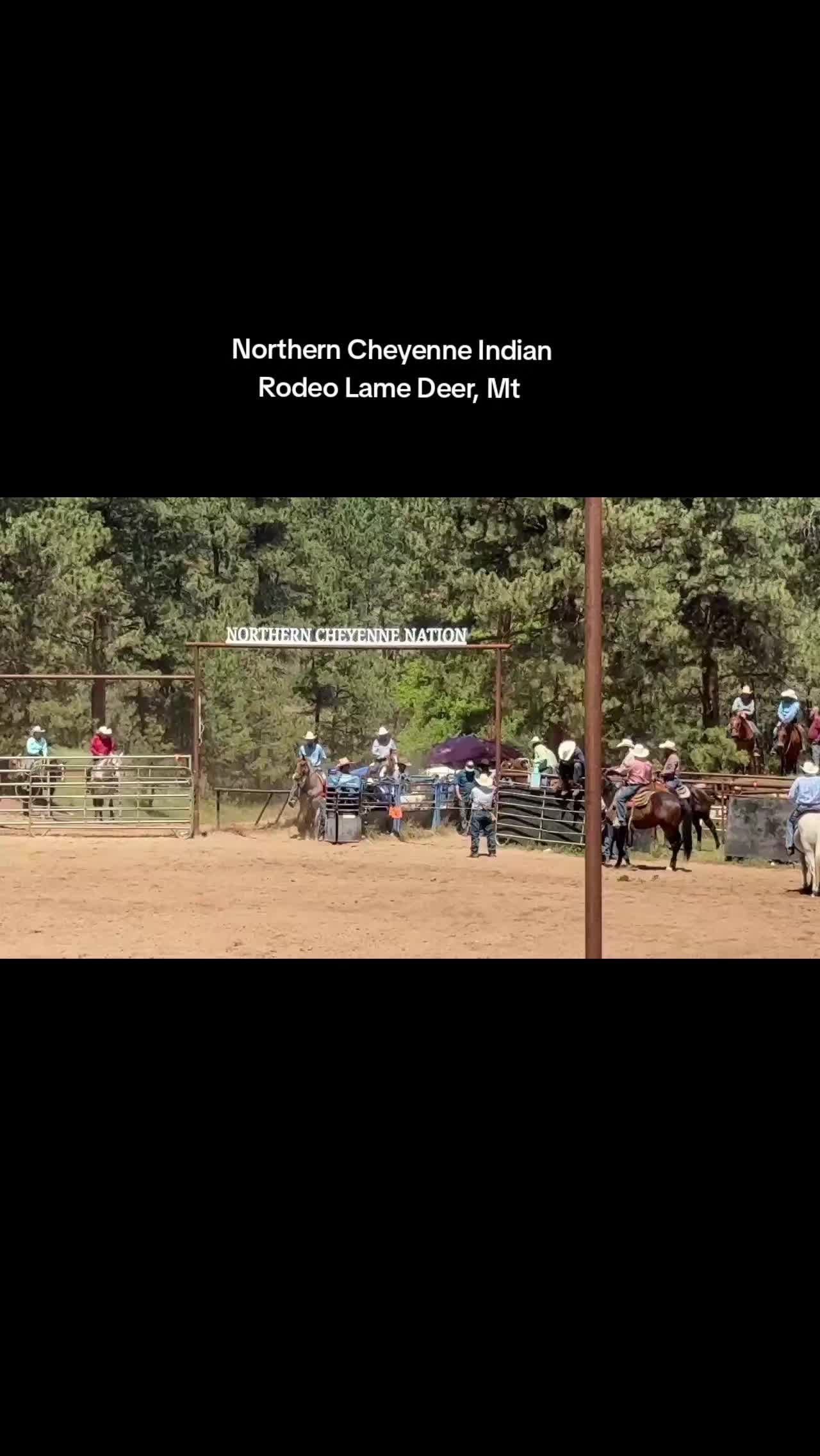 @scottdailyhorsetraining