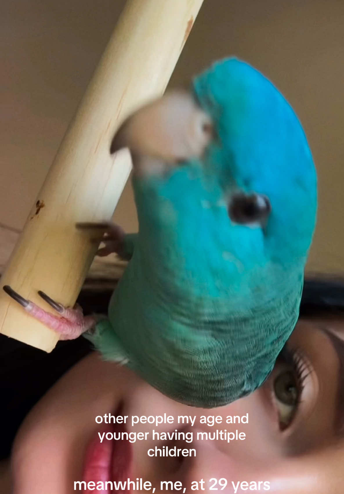 @kyliewilkens