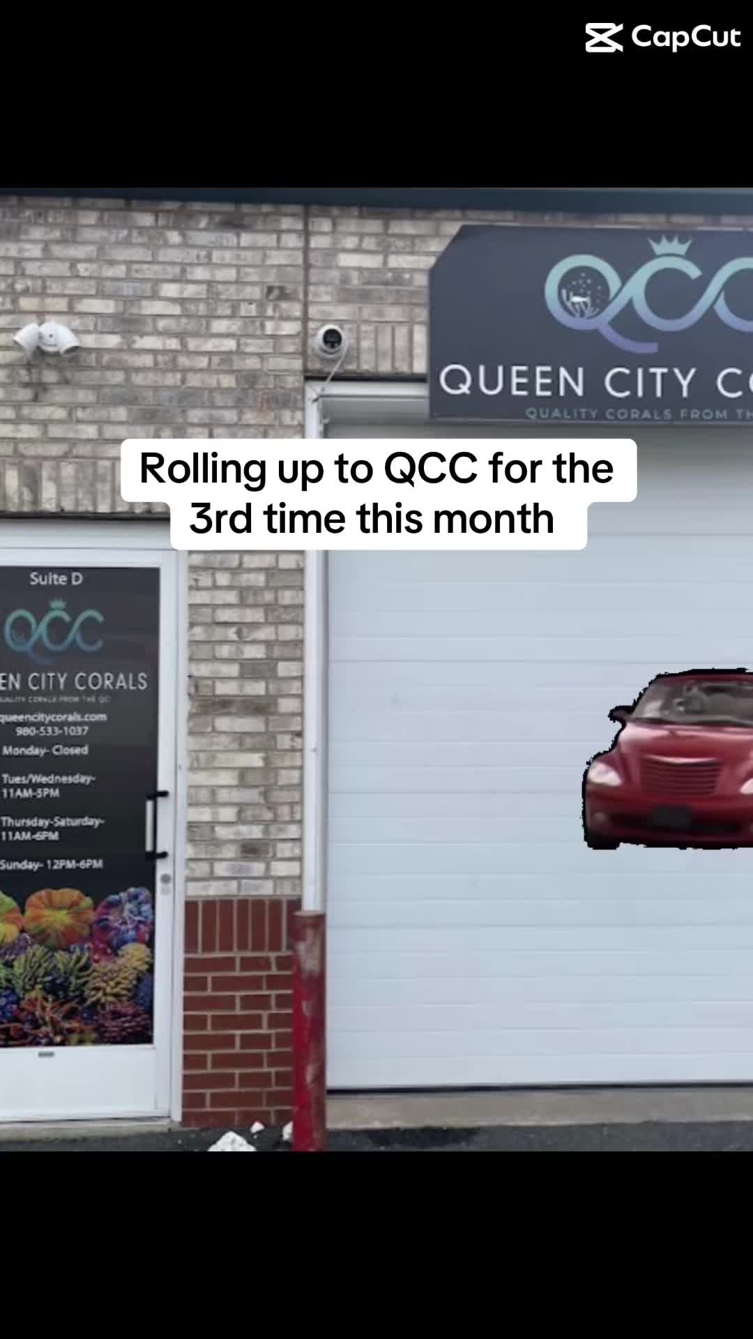 @ReefTok