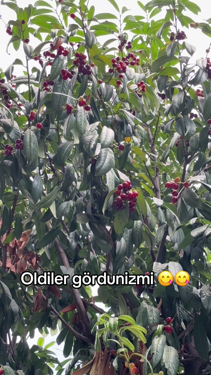 @hatice ile gülümse