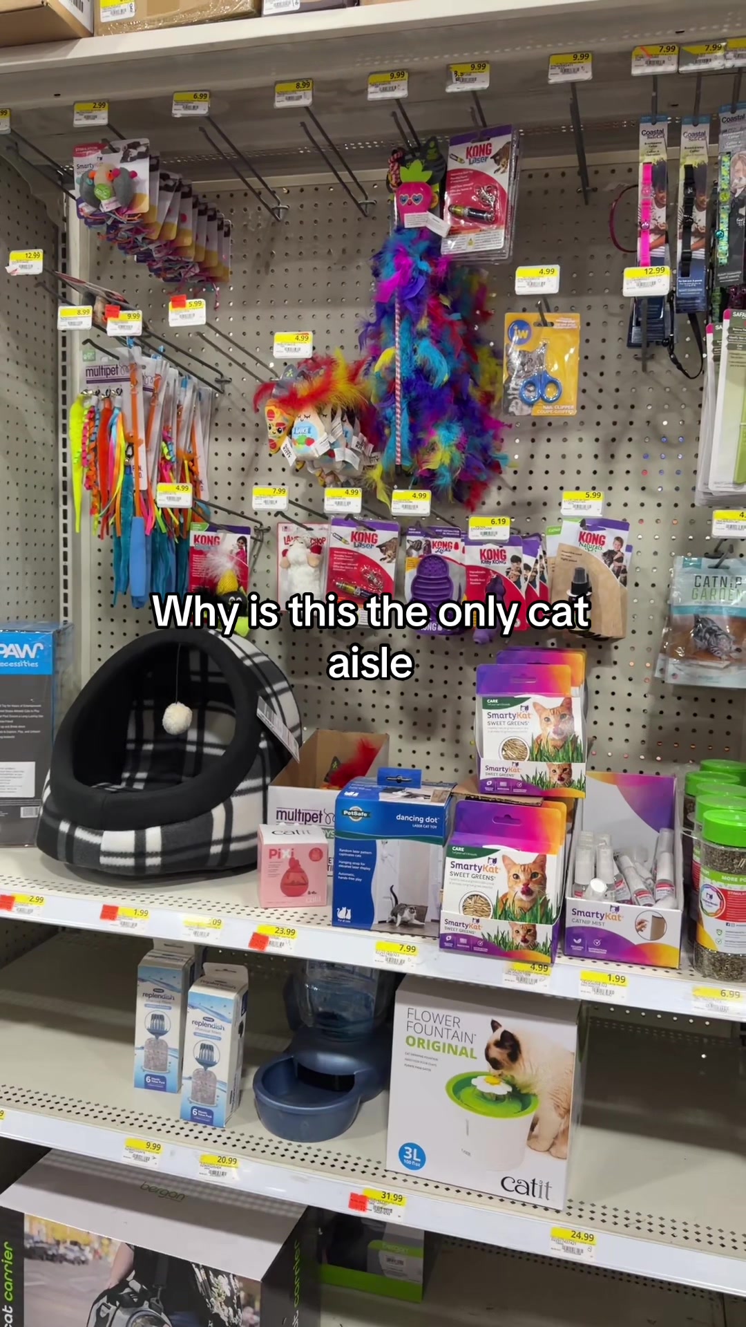 @Jessica Workman