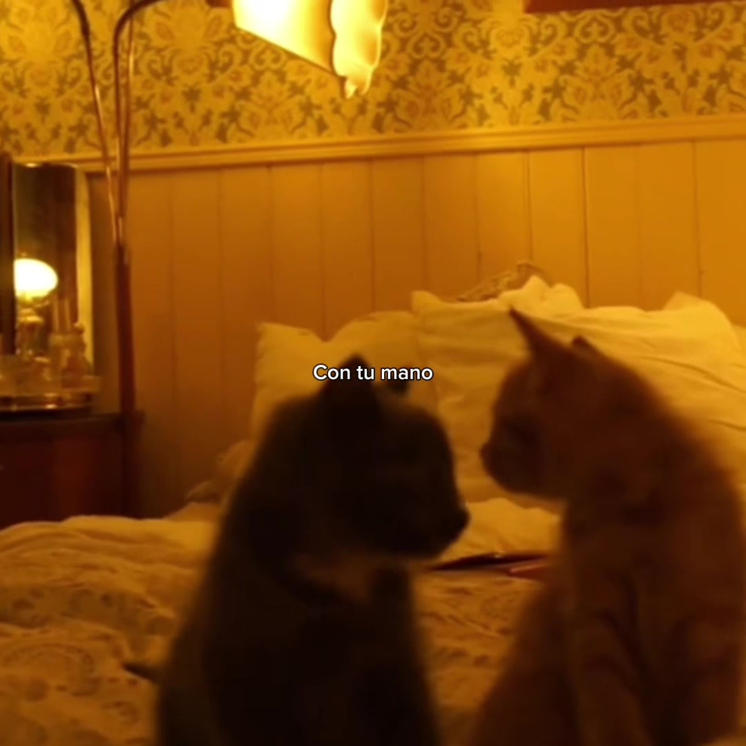 @𝒪𝓳𝓮𝓭𝓪𝓻𝓲𝓸