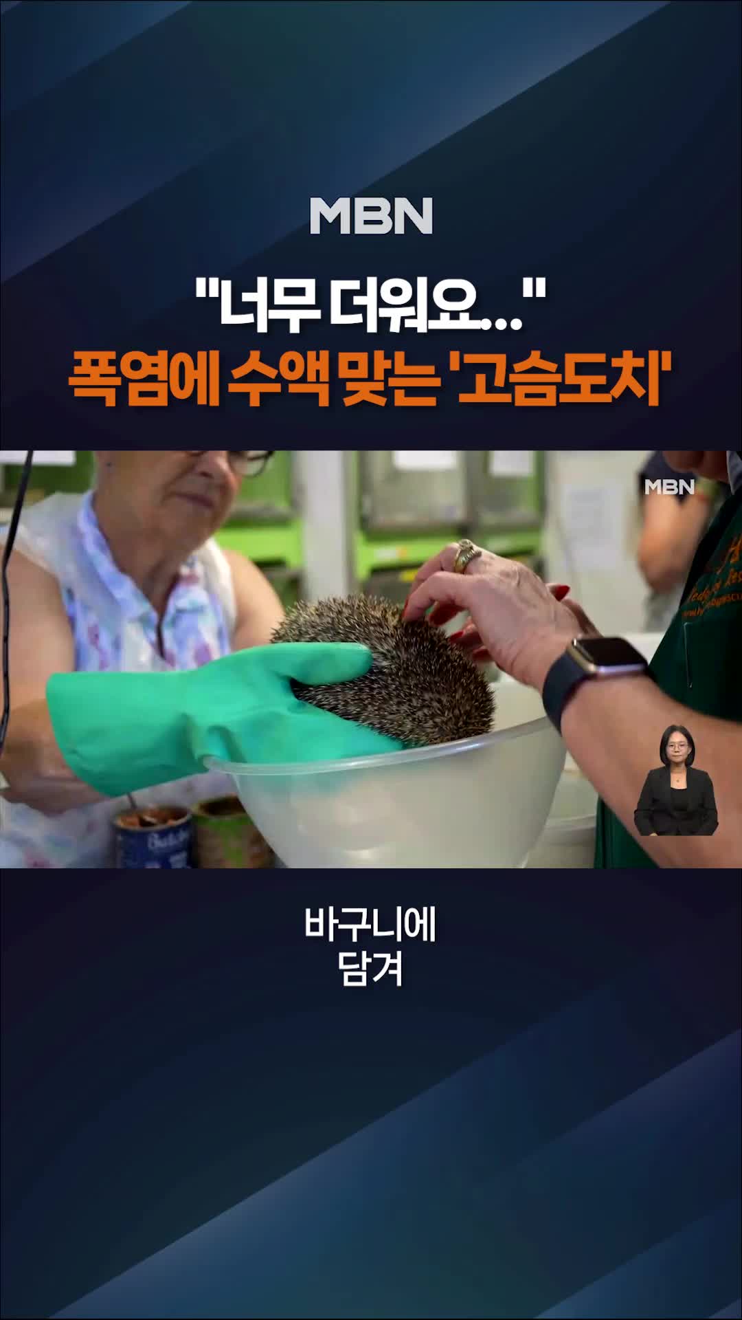 @MBN NEWS