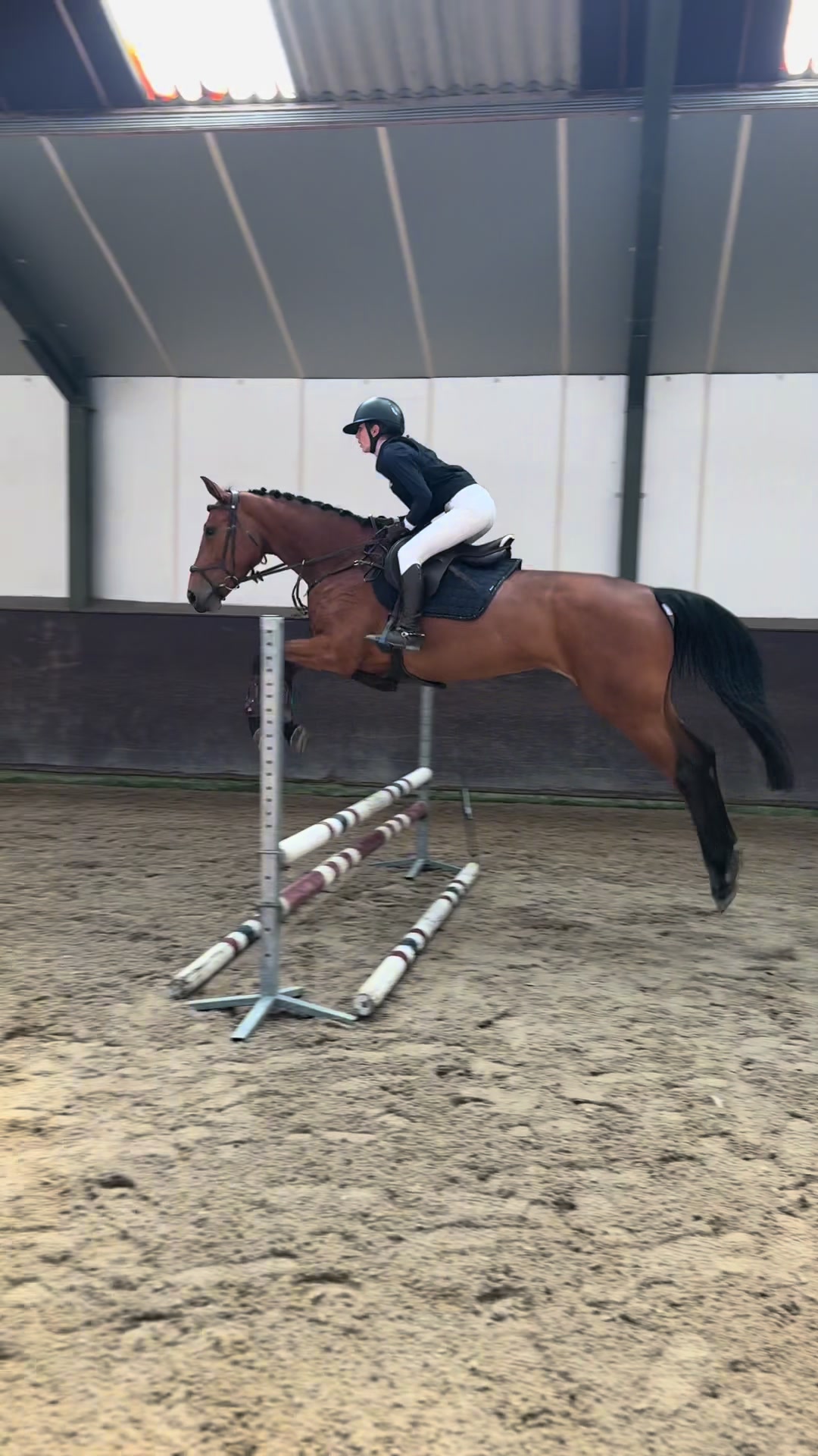 @Aeres Hippisch Centrum