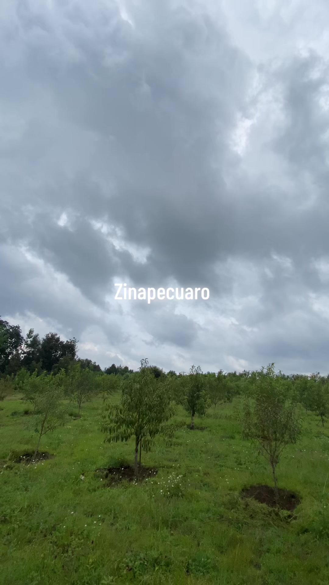 @ARTHUR EL ZINAPECUARENSE ๐