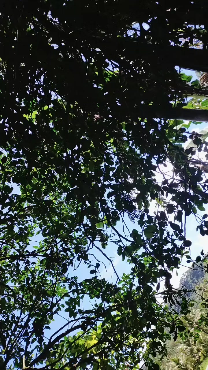 @هذه