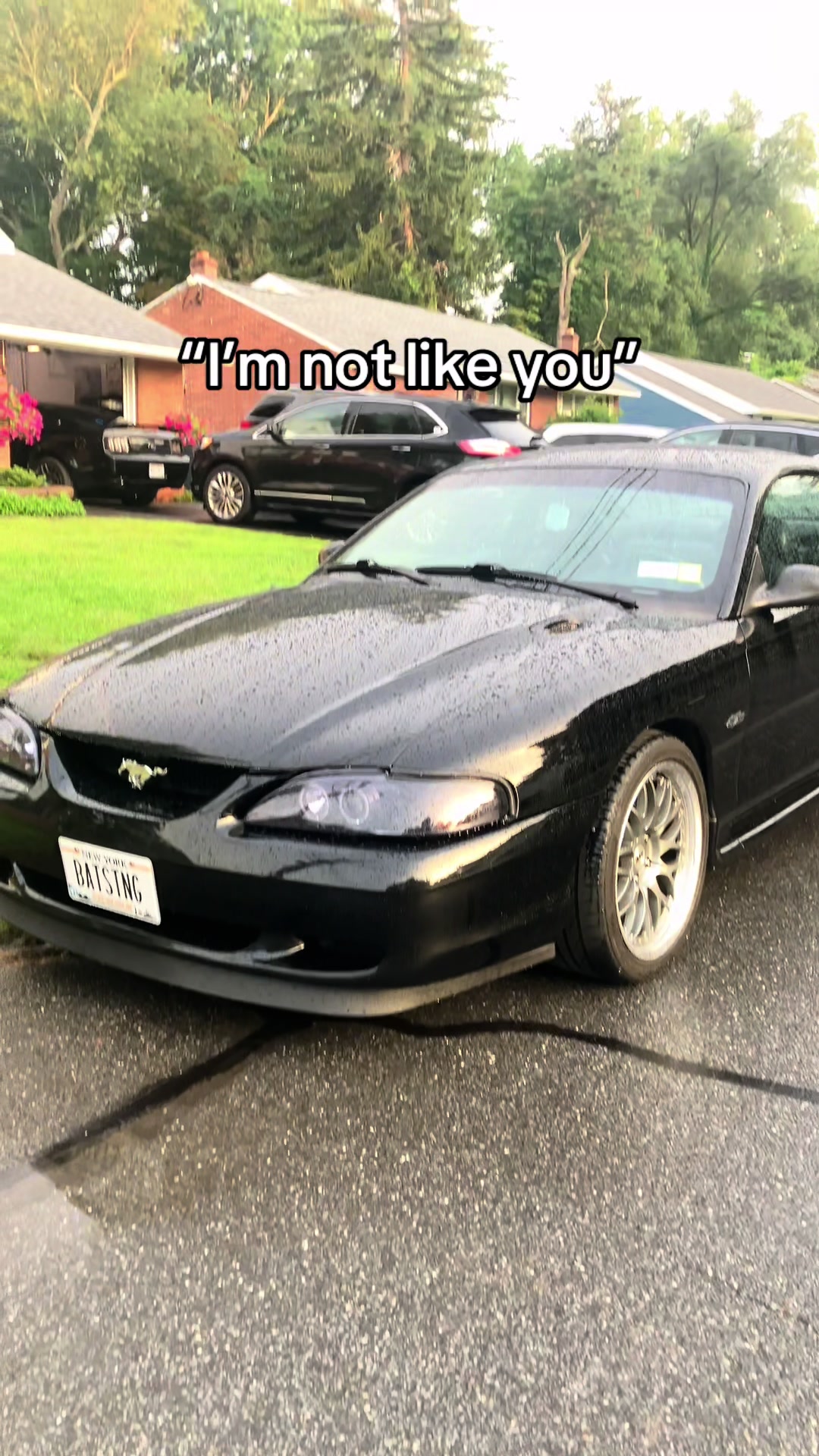@mjfinn514