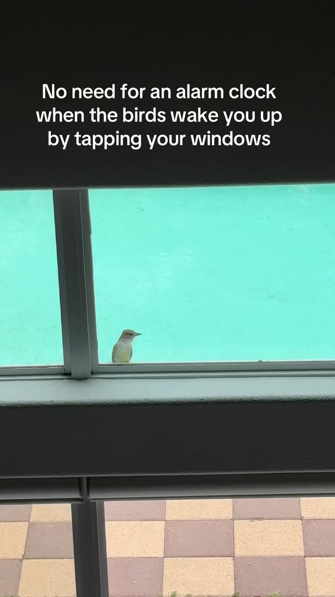 @Laura 🌺