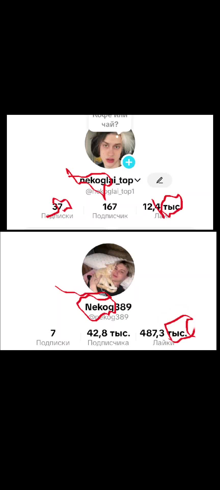 @nekog_fan