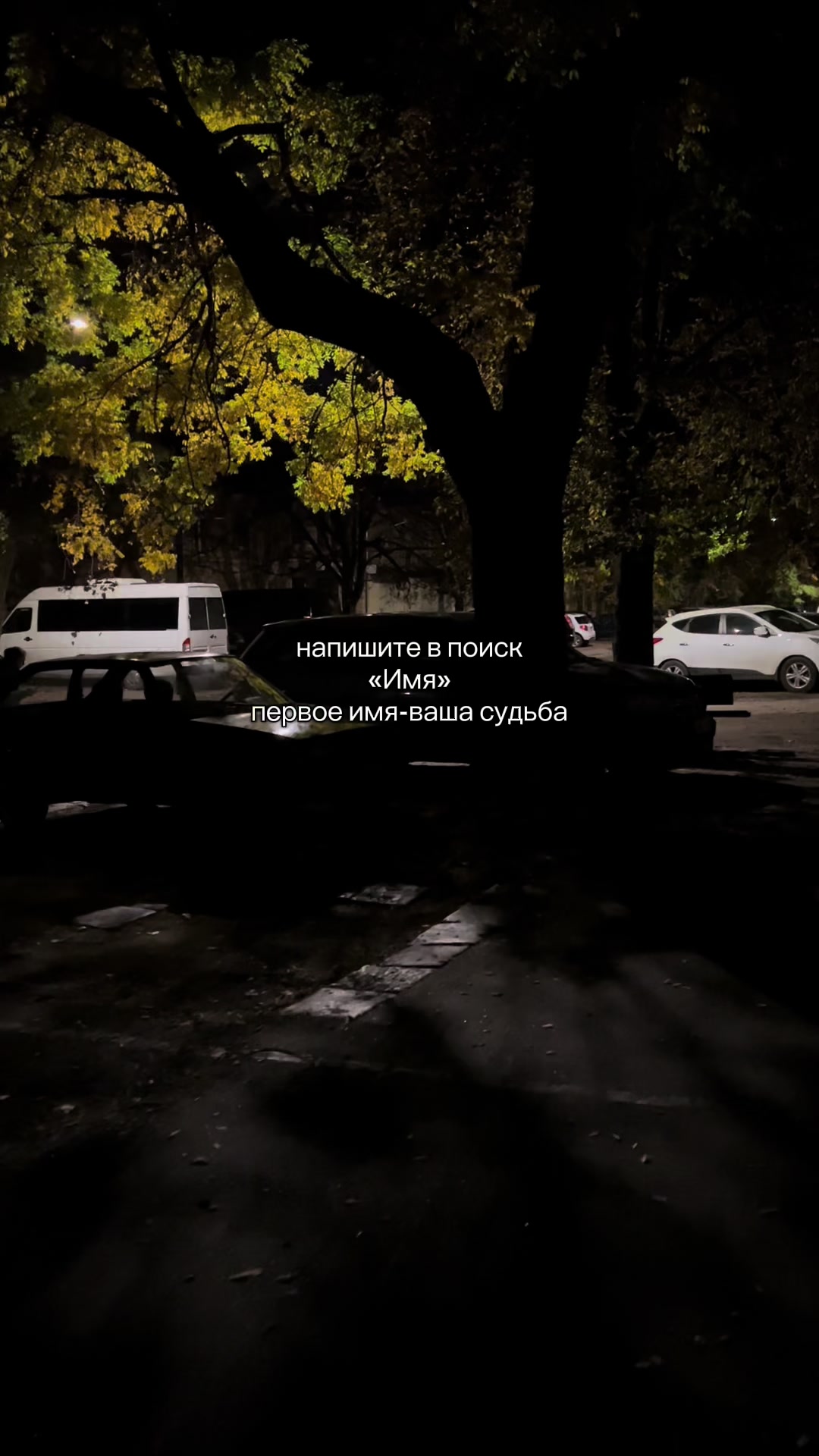 @кис кис💗