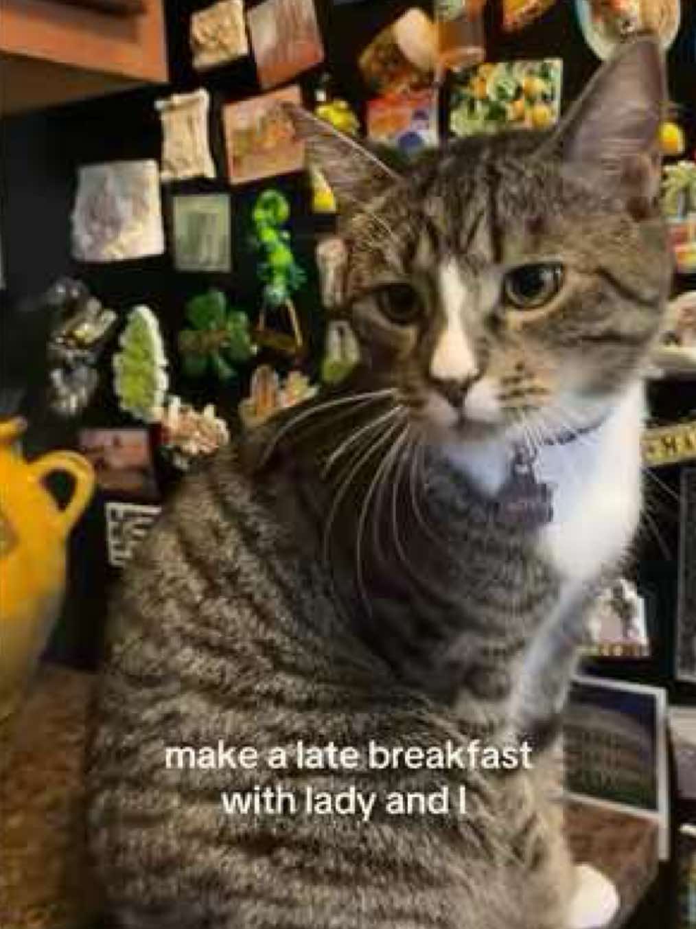 @em ✿
