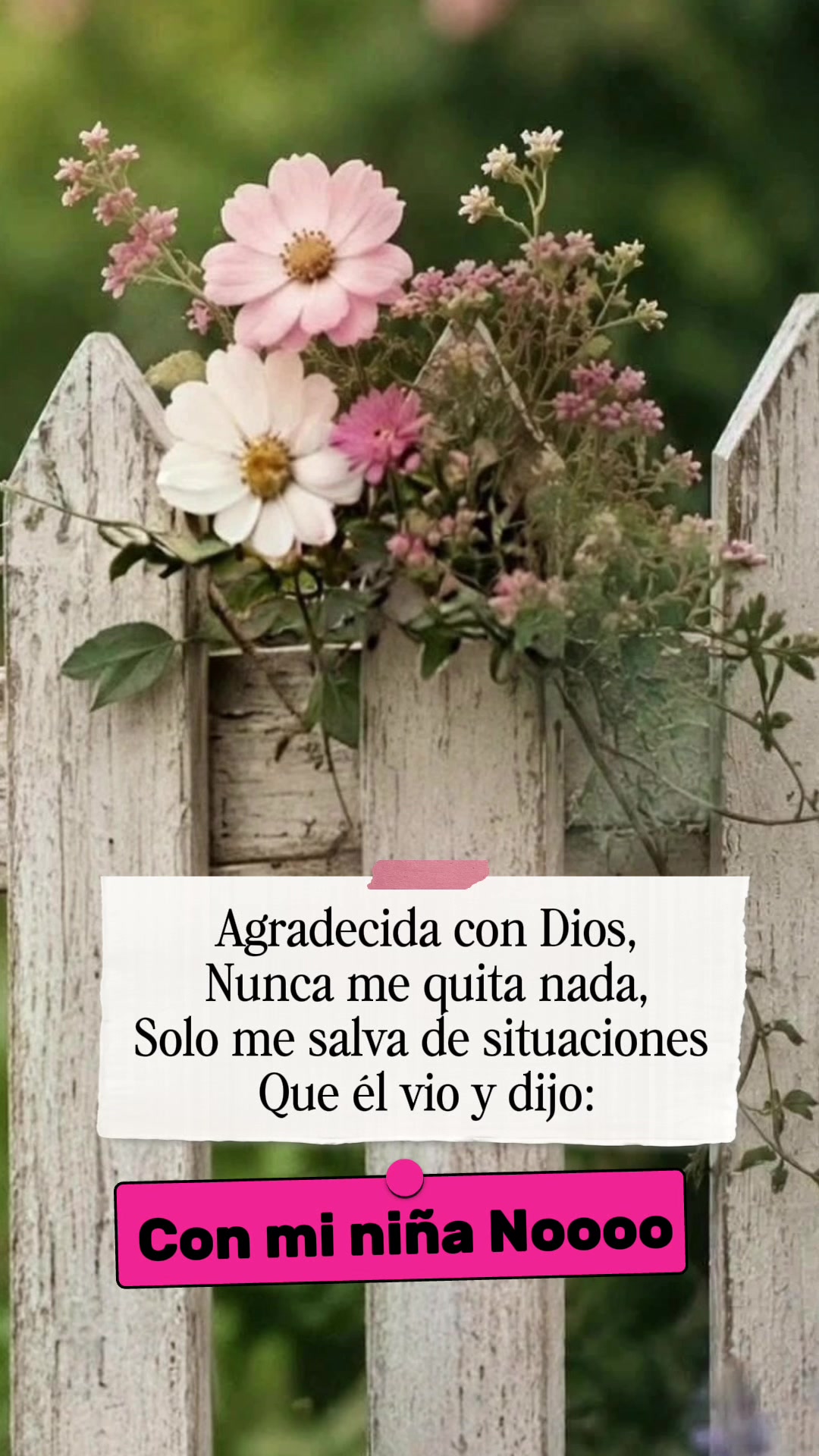 @IrisMilagros 🌼🌸