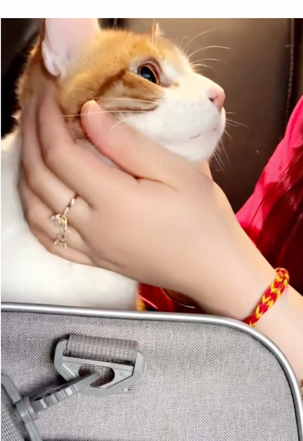 @VAIBII💕