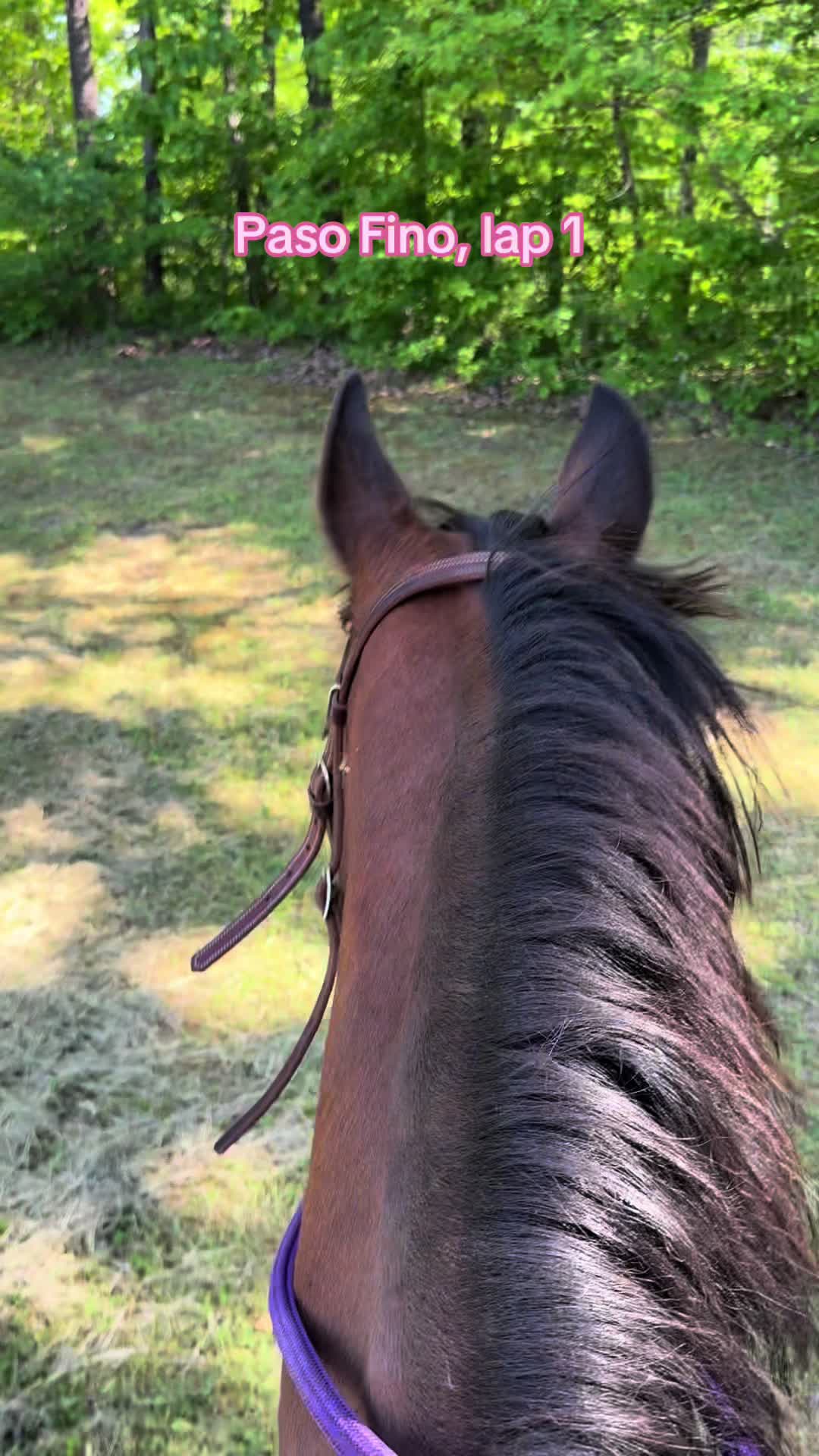 @EightyDollarStables