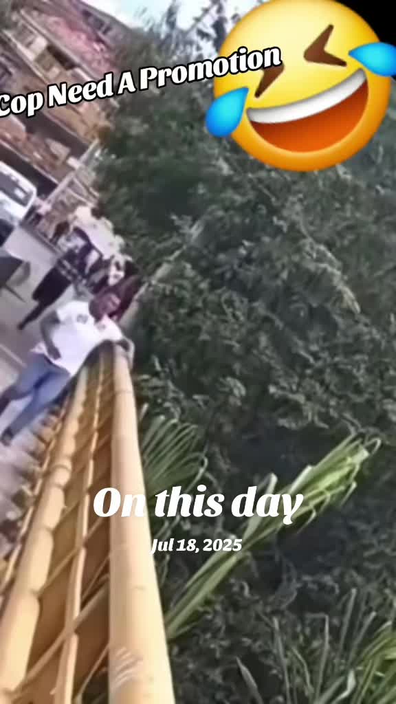 @Just 🕸️