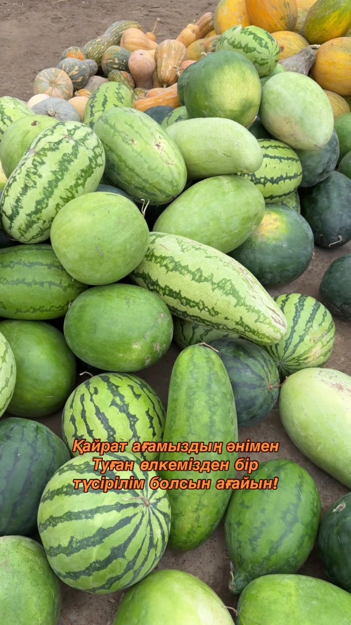 @Нұрлыбек Қайыпов