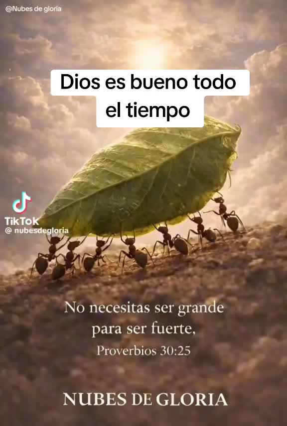 @Lucesita de Vidaoficial