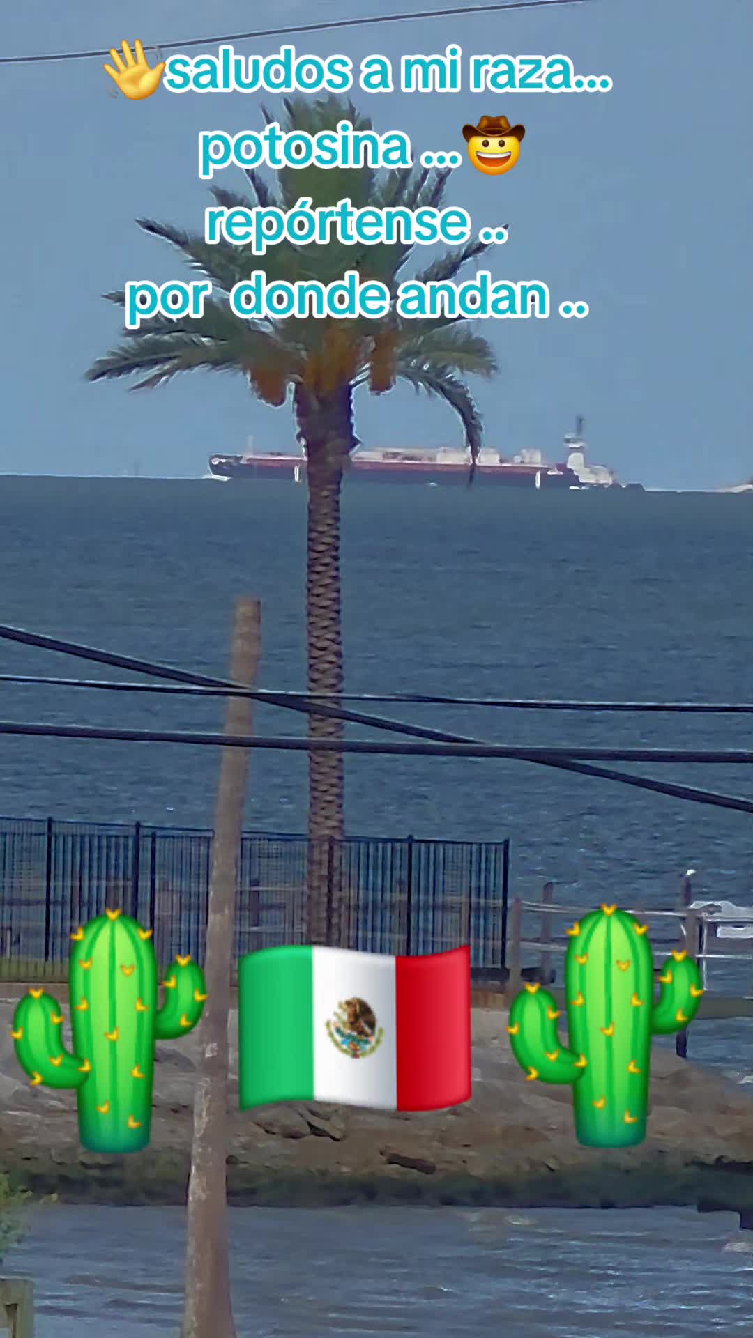 @Rivera.jr@Dallas