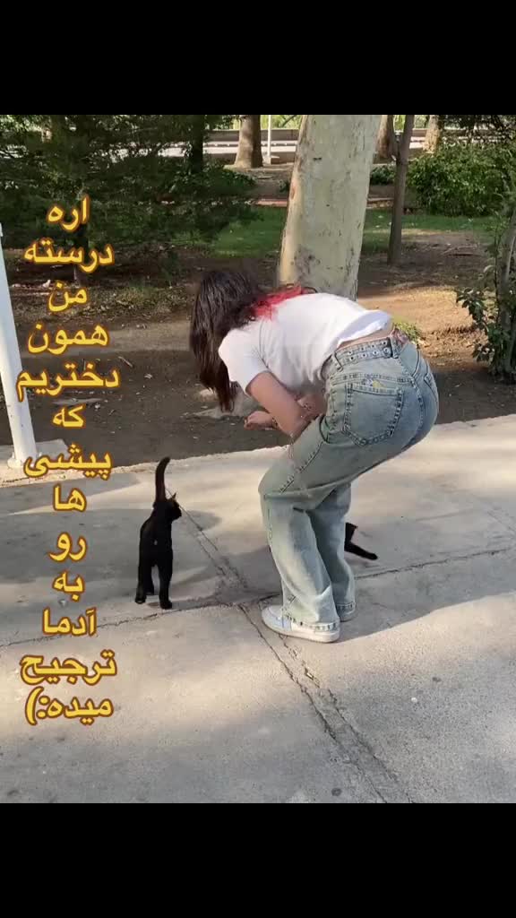 @🪽