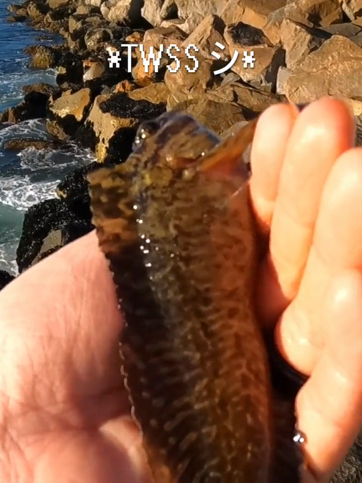 @SvenGoesFishing