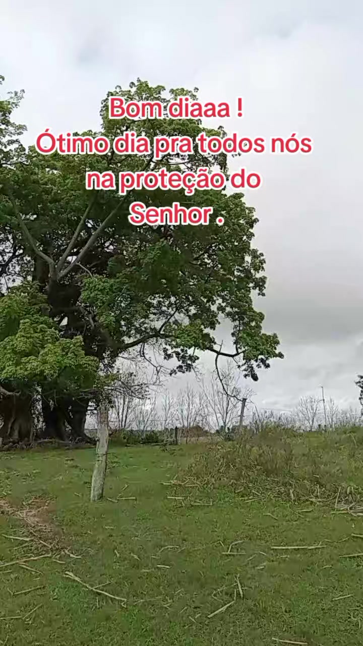 @Marlusa Ferreira Moreira