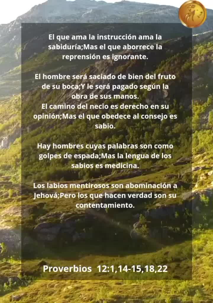 @Vicayquipa