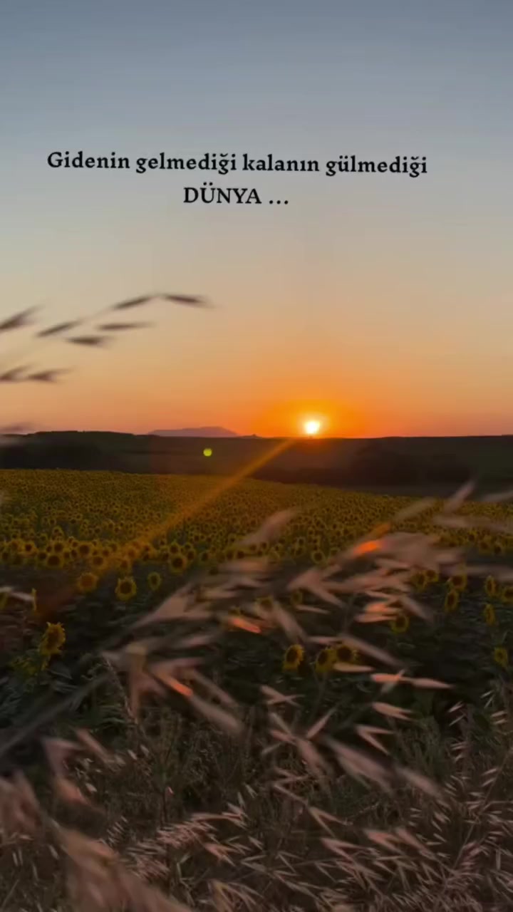 @Rukiye Zengin💫