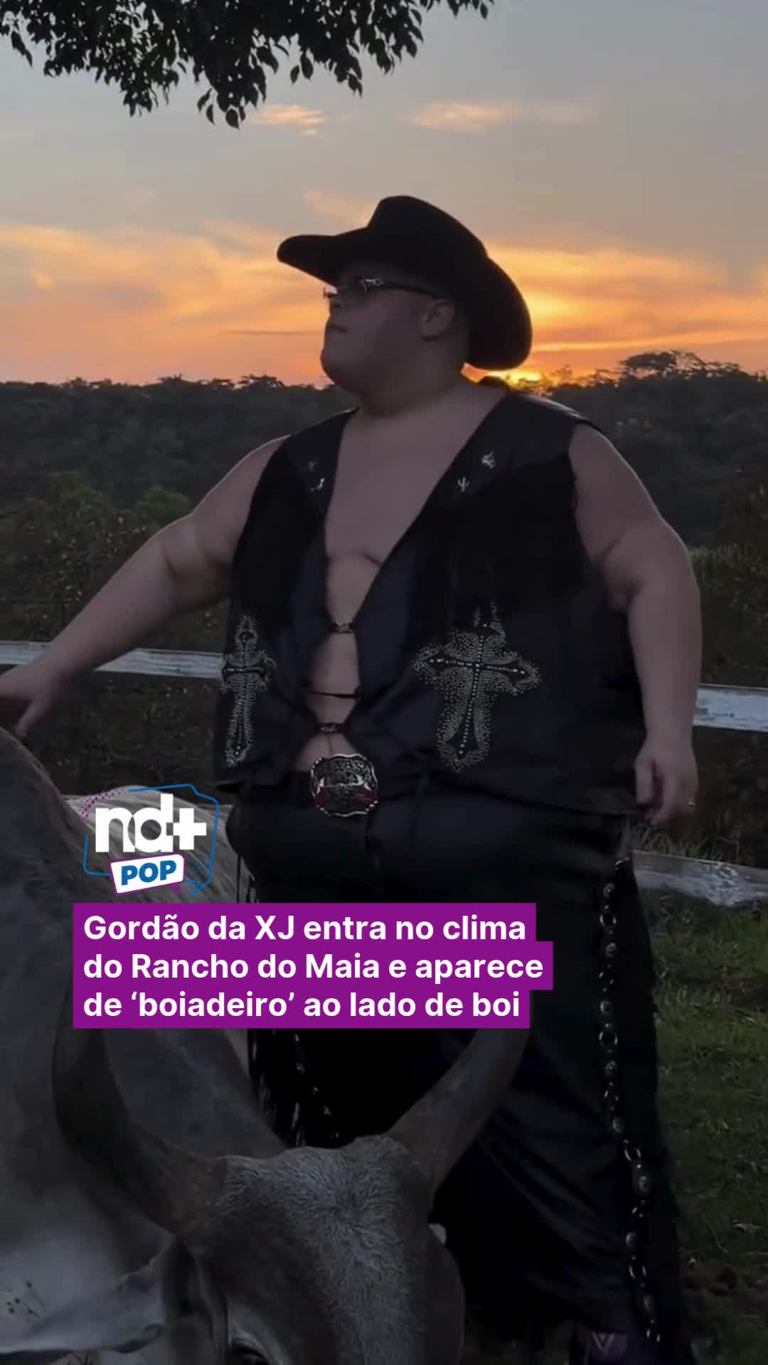 @portalndmais