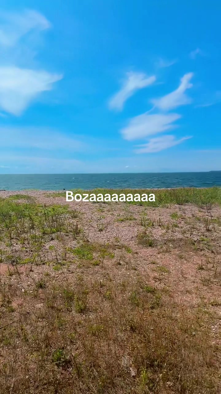 @zobob1