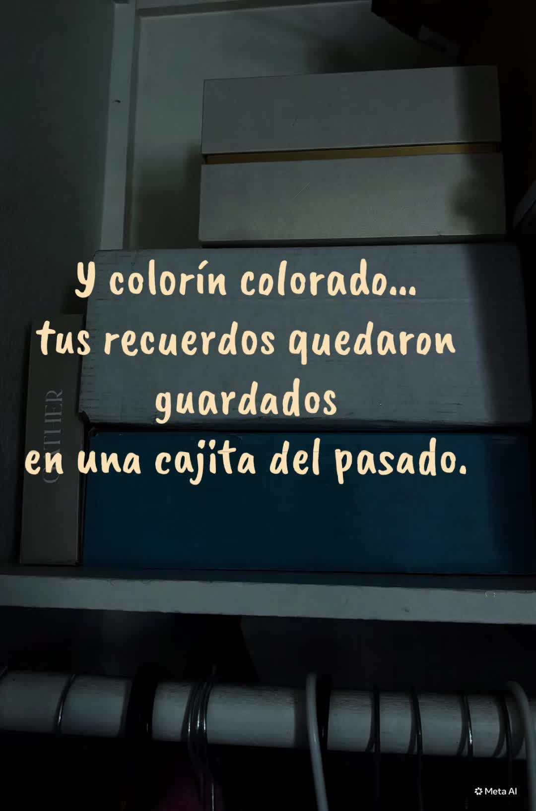 @Daliz
