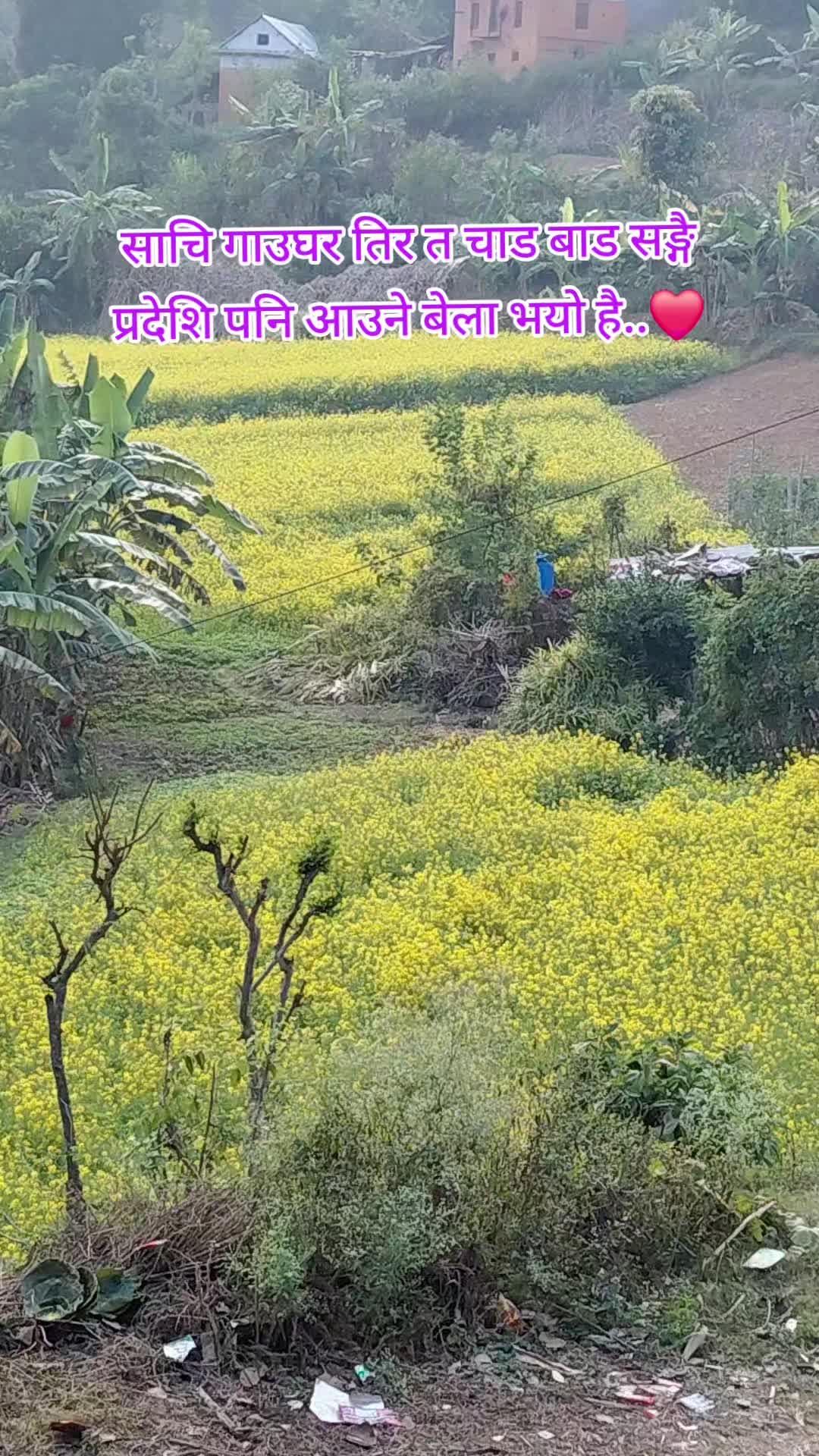 @रमेश बिरही...❤️✍️🇳🇵🇳🇵