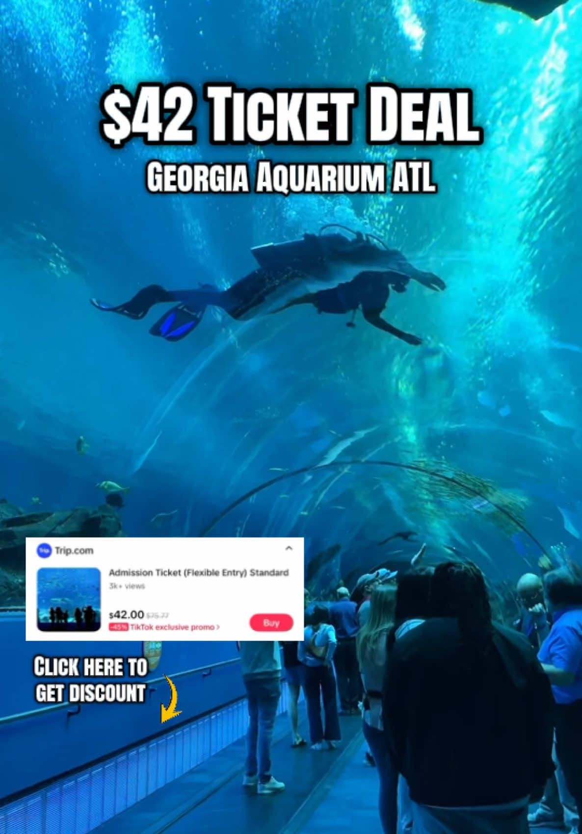 @Mary | Travel Mama | Deals