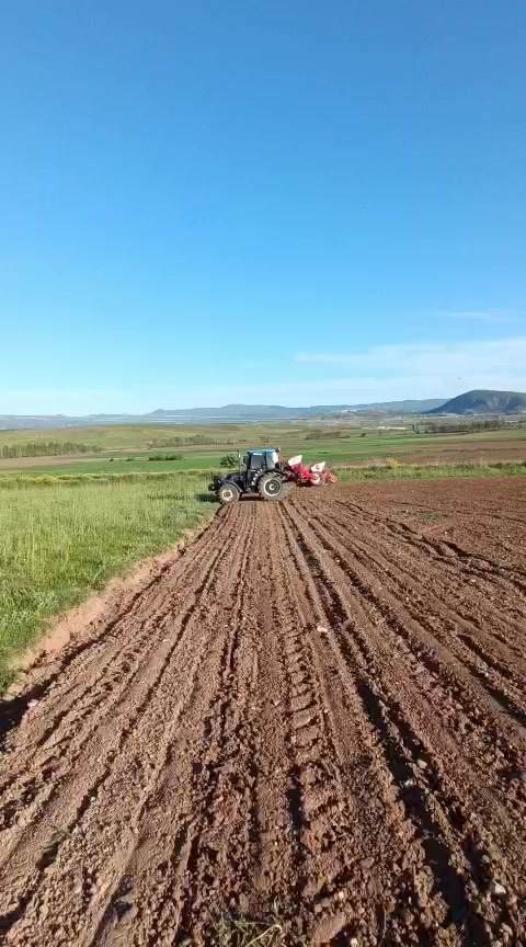 @sabanmenevse