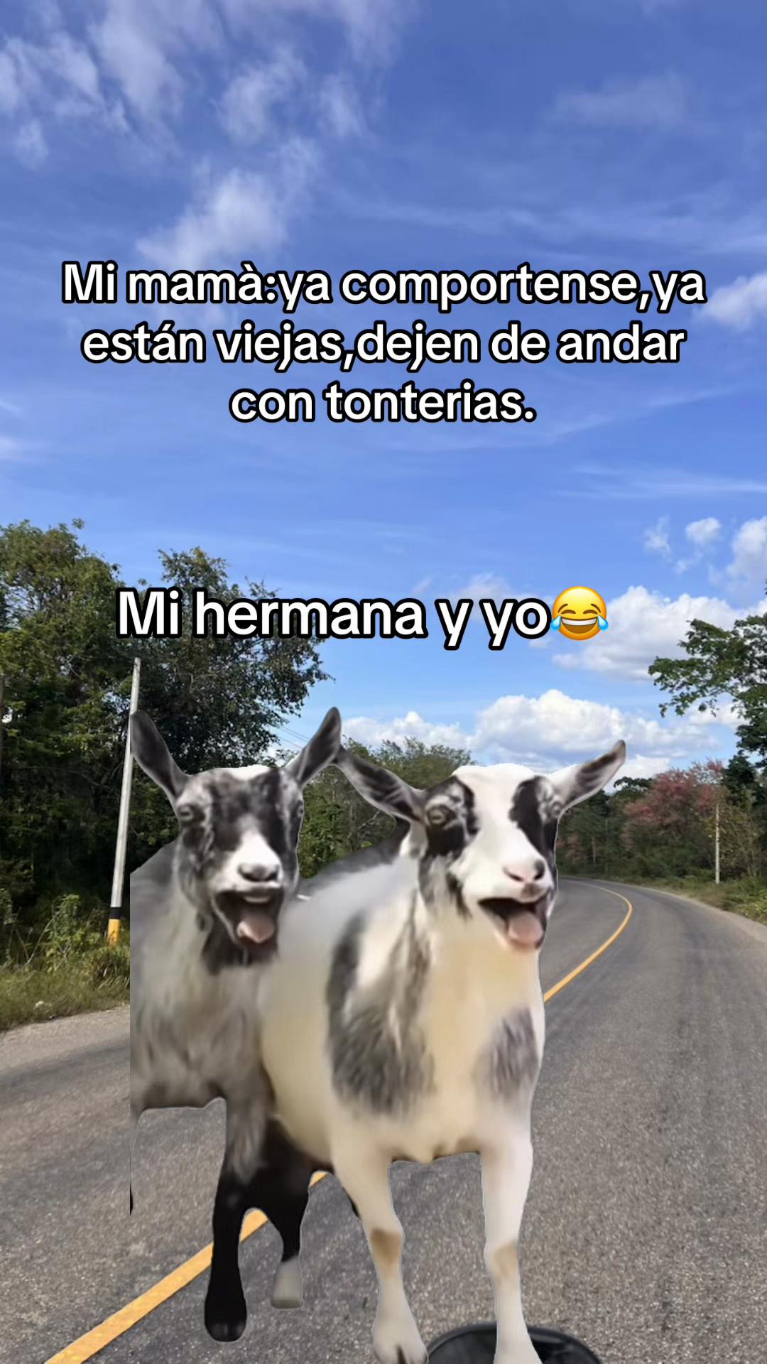@karoll_gonzales🇭🇳✅