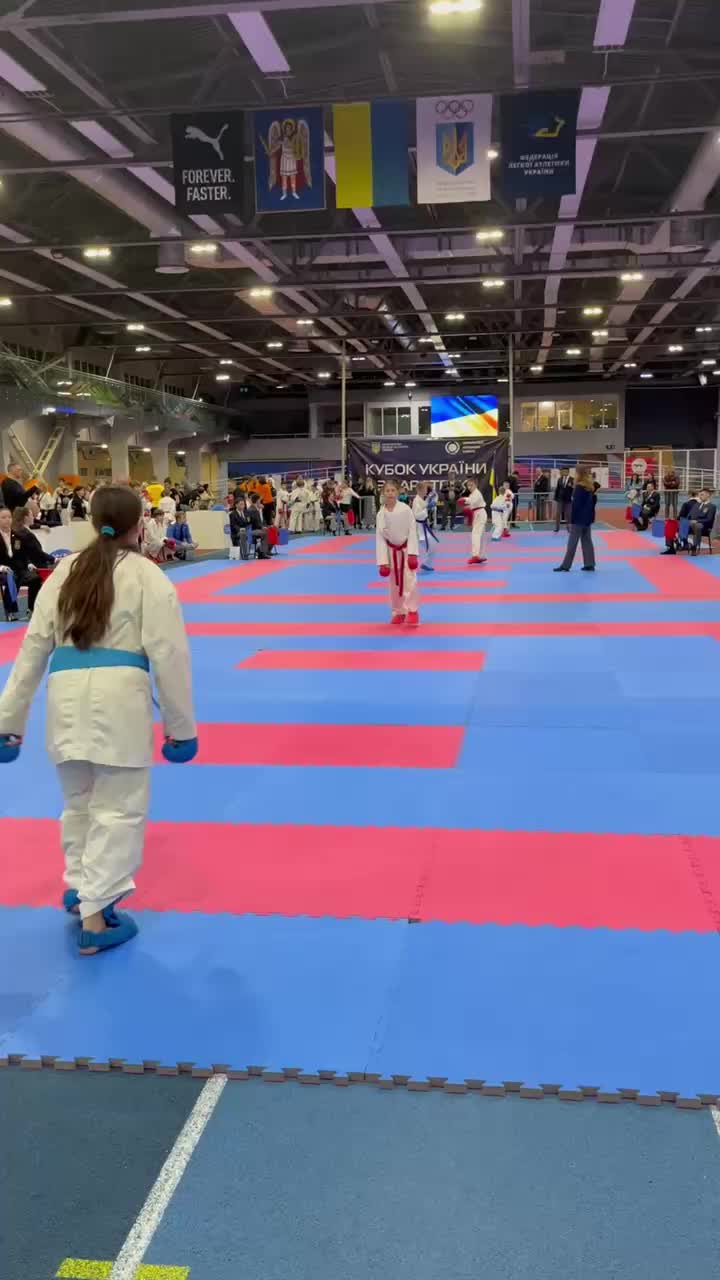 @Shotokan karate