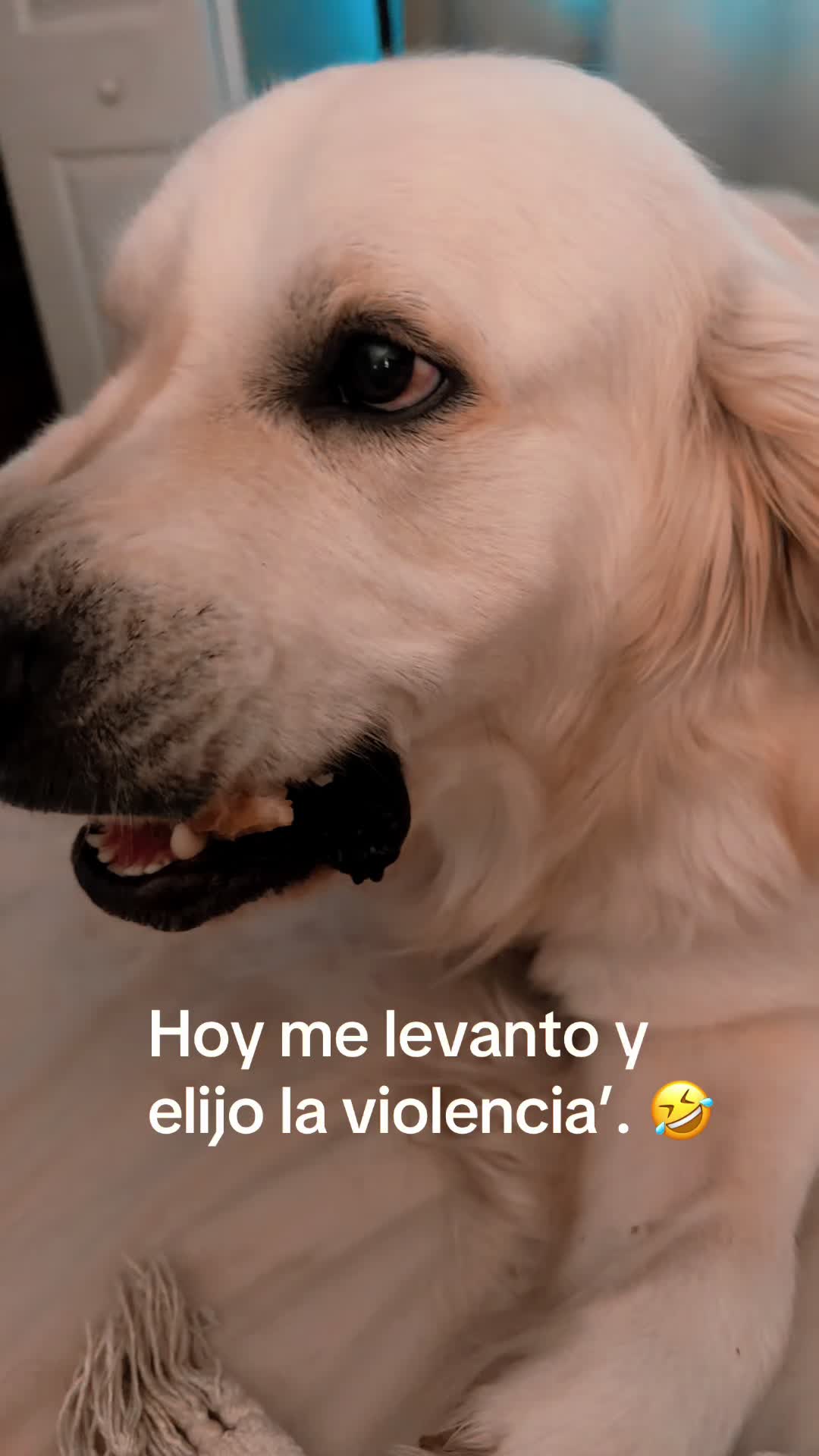 @𝐃ama 💎✨