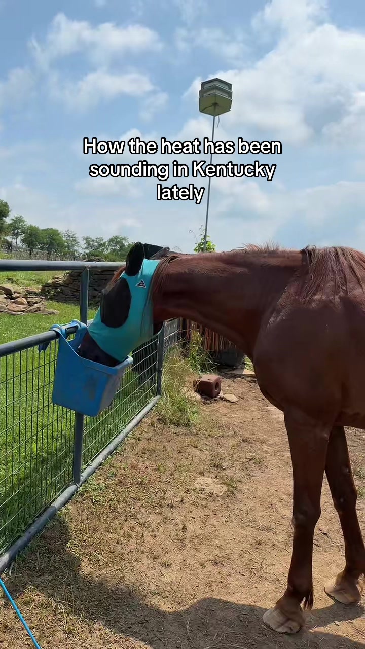 @Kayla