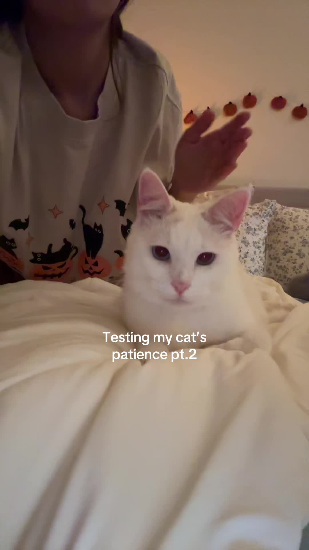 @Meg🫧