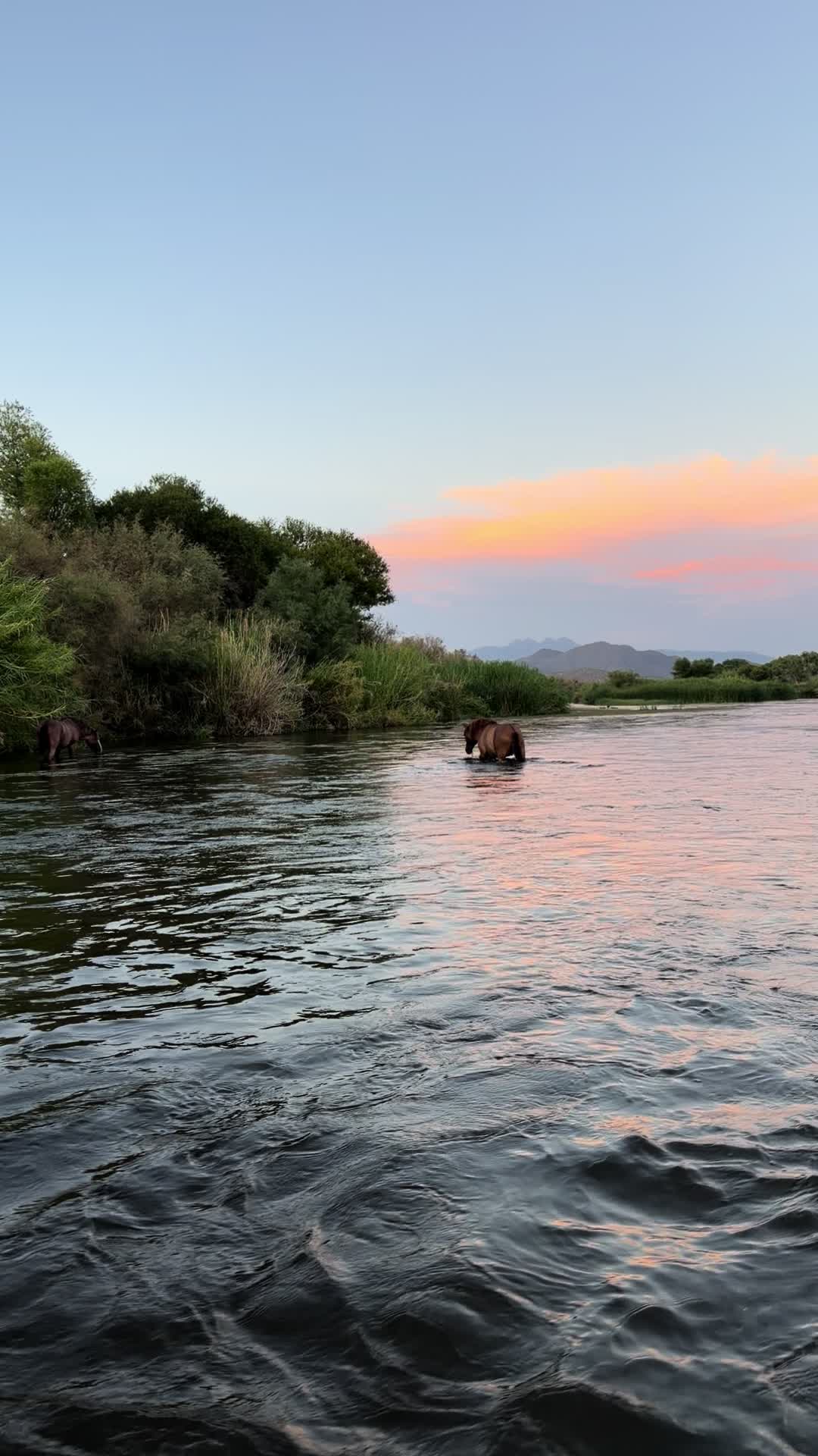 @David explore Arizona 🌲🎣