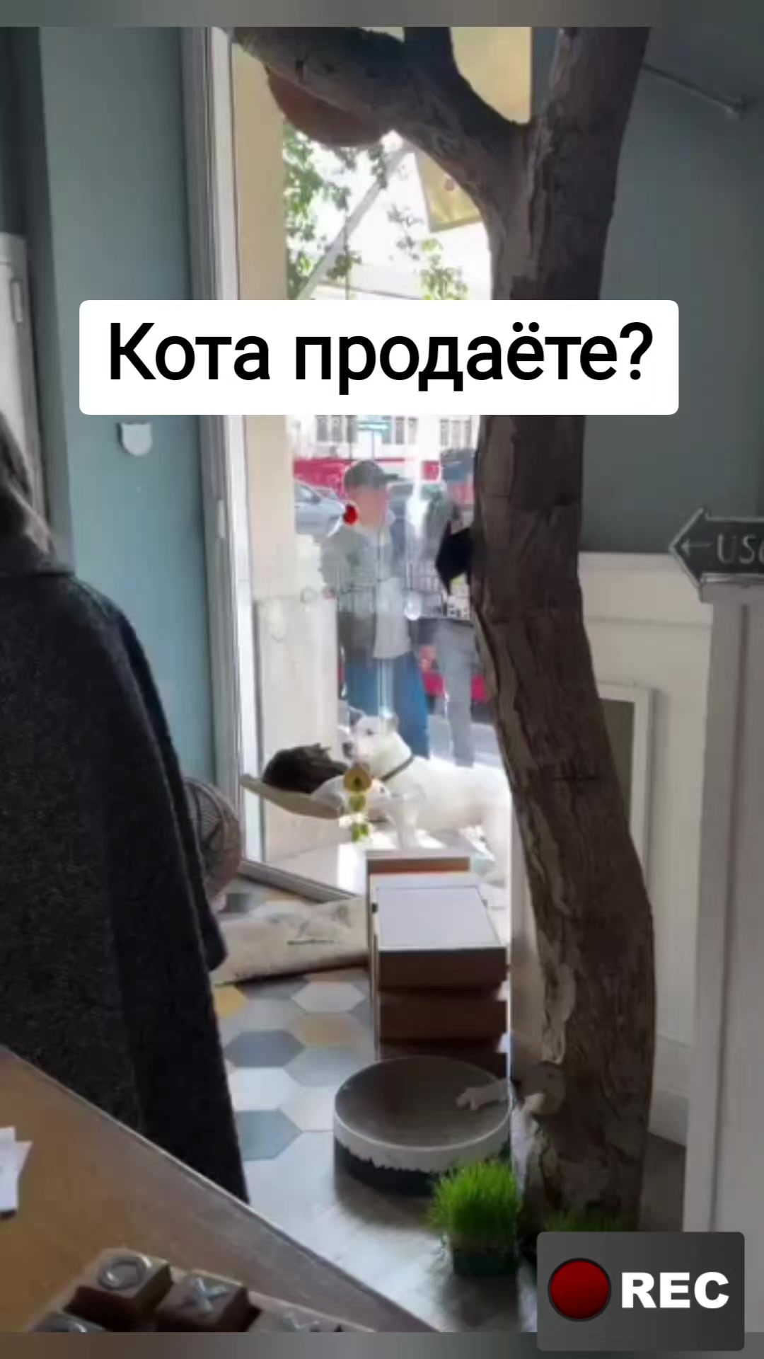@Лариса
