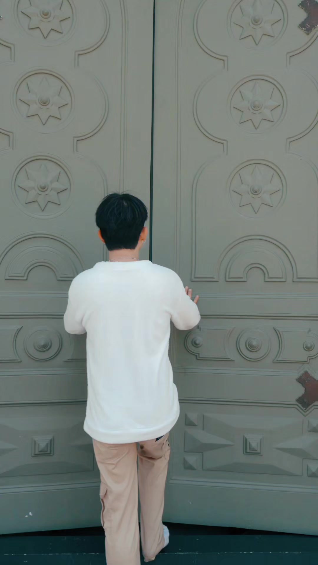 @น้องนิวมีชิวาว้าชื่อคิวซี