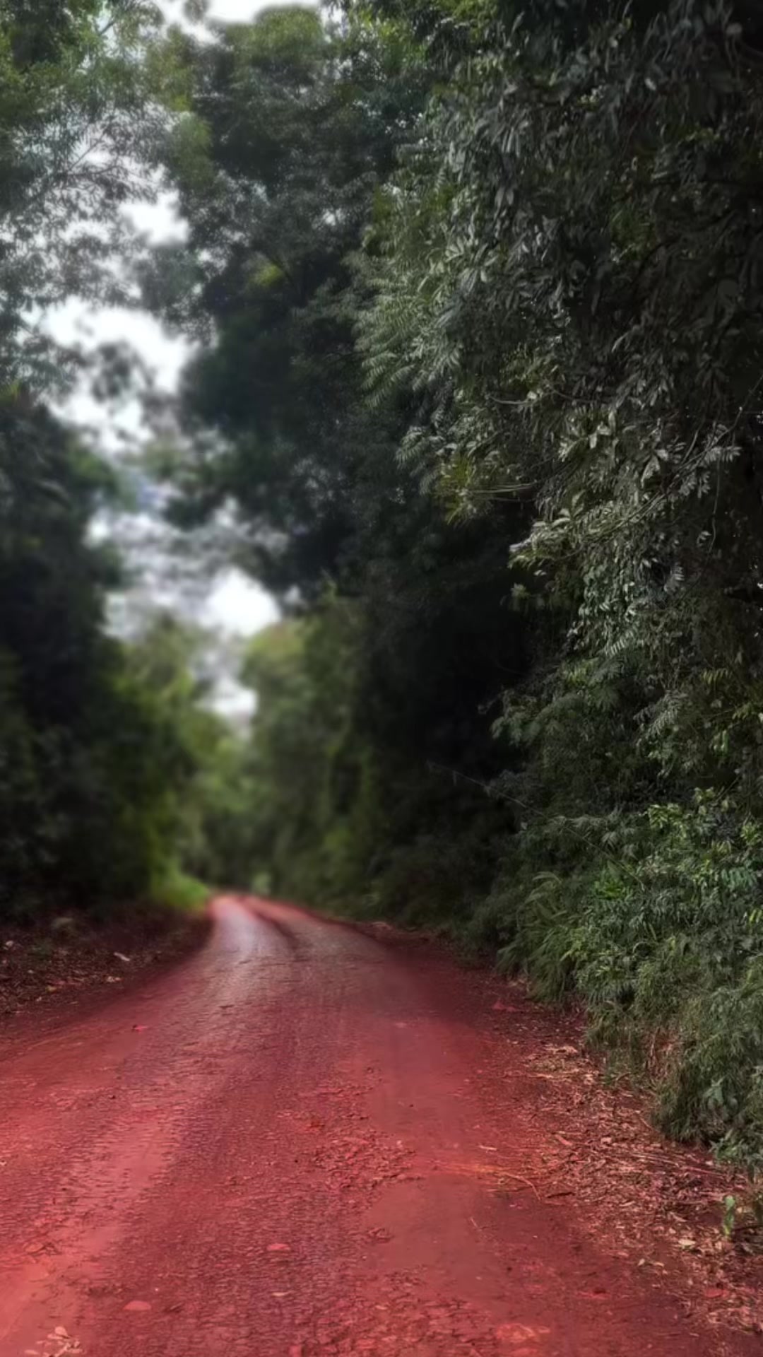 @Misiones Nuestro Lugar