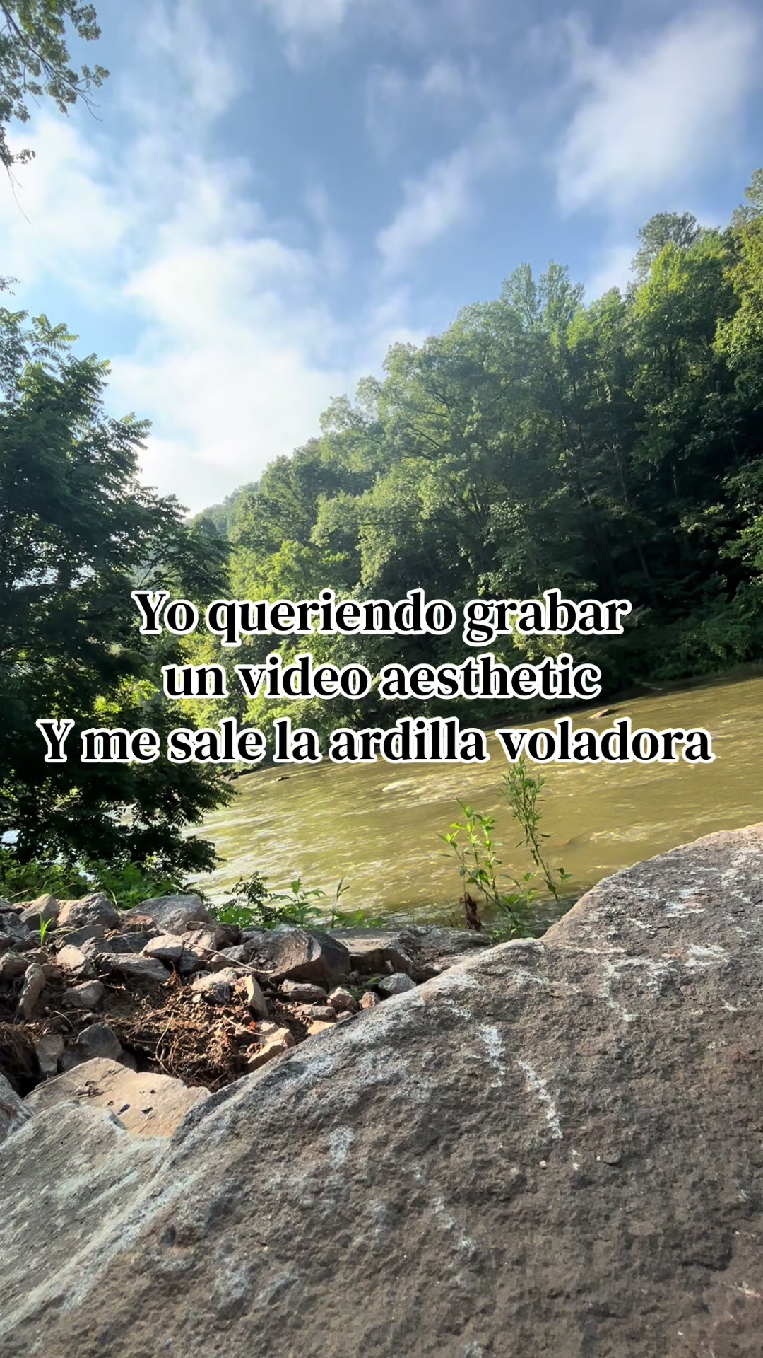 @Sandra Alvarez