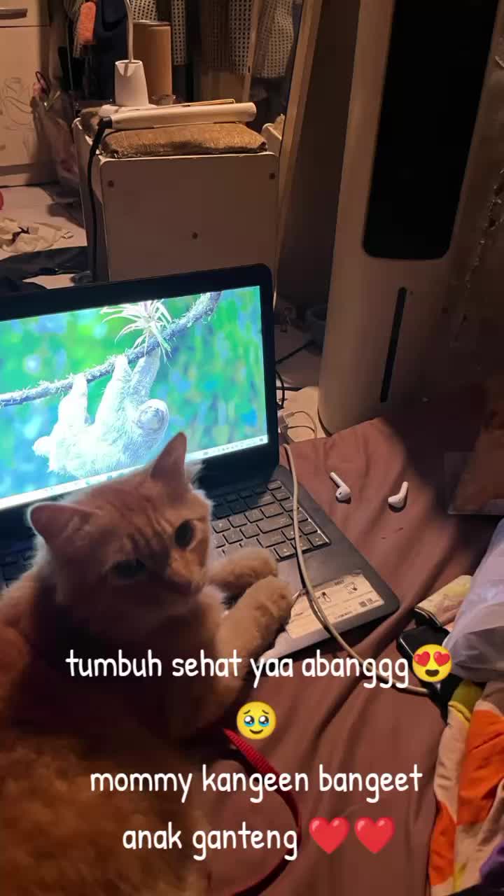 @😺 0chil 😺