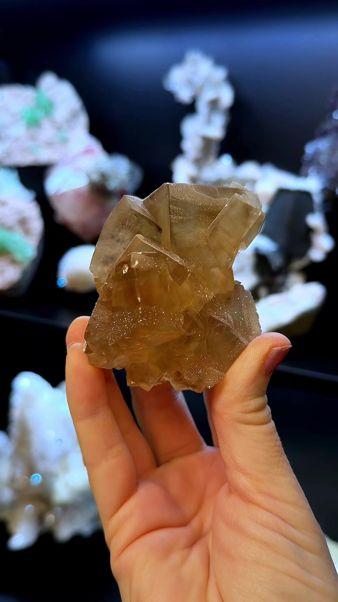 @Crystal Live Emporium✨Natalie