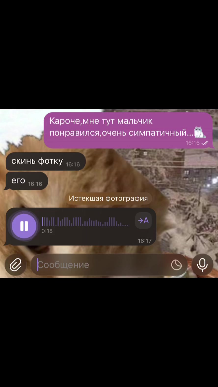 @кирафида