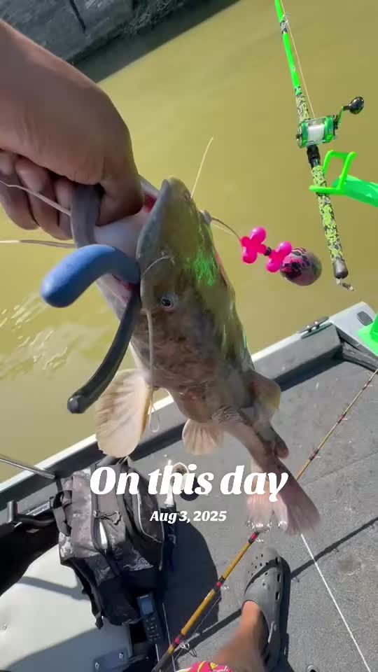 @PHATKAT RIGS