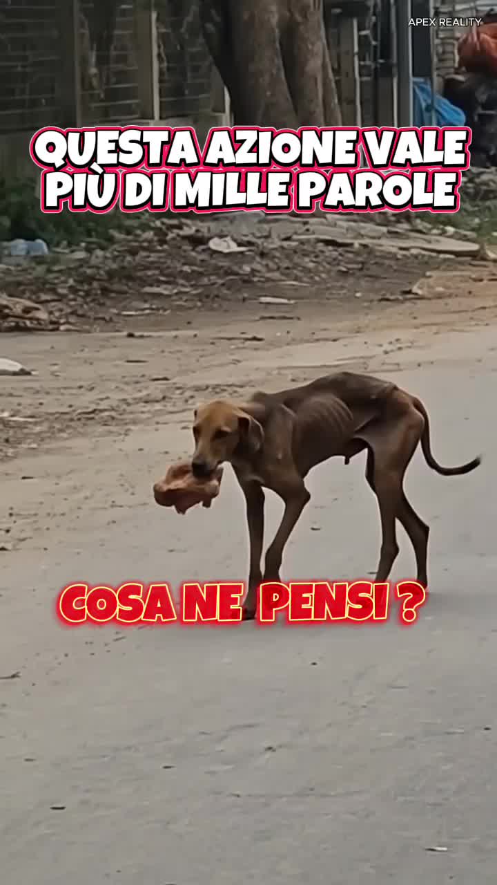 @๐ ๊ลฑρั๐ส๐ข๐ั ๐