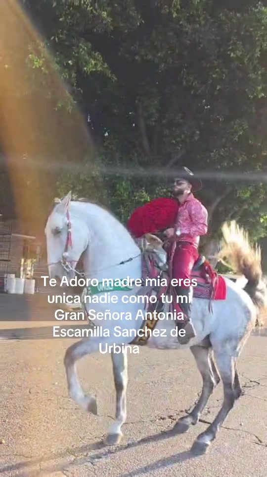 @Tito escamilla El Alegre